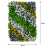 ChatGPT Image Jul 8, 2026, 02_59_17 PM (2) Grass Tiles by Vertical Garden - Mosaic Garden | 40 x 60 cm
