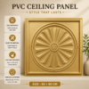 Ceiling Panels by Exclusive Corner - Champagne Gold Radial Design | 60 x 60 cm ( 2 x 2 ft)